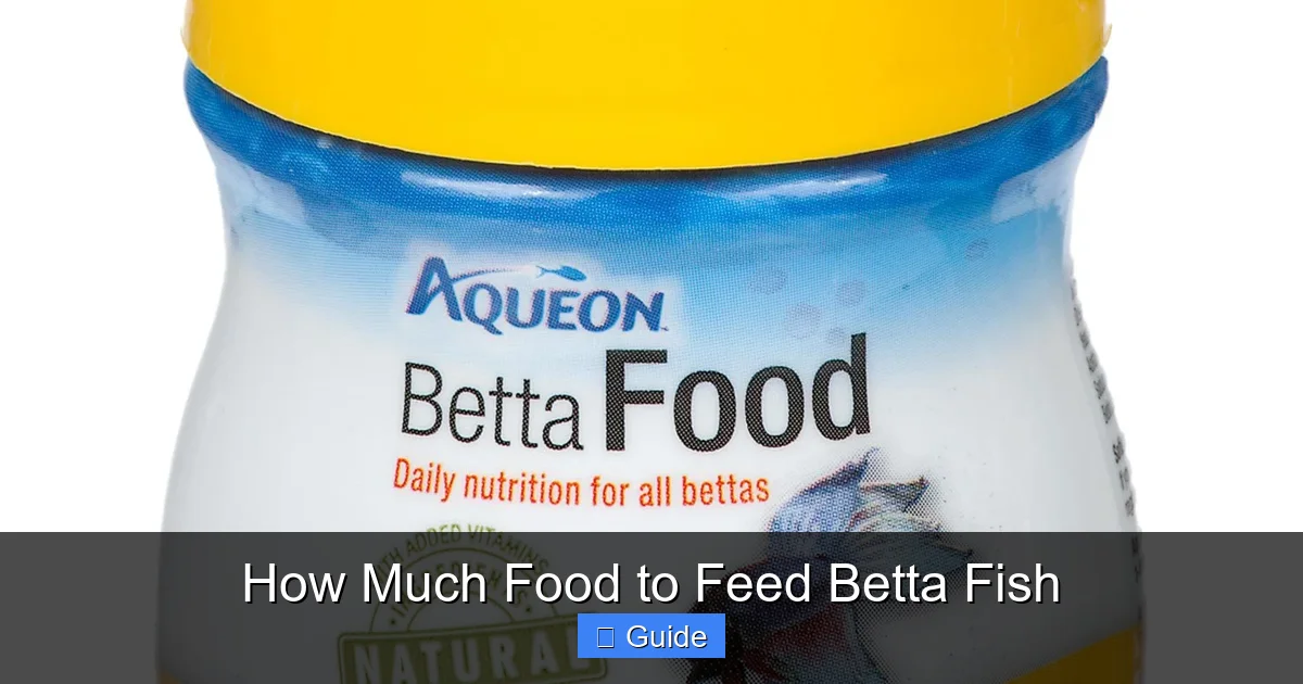 How Much Food to Feed Betta Fish