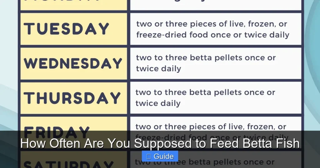 How Often Are You Supposed to Feed Betta Fish