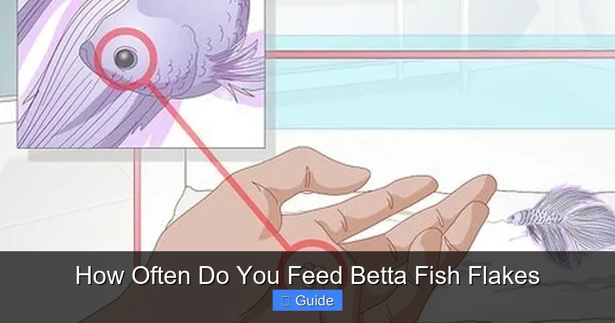 How Often Do You Feed Betta Fish Flakes