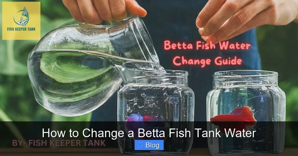How to Change a Betta Fish Tank Water