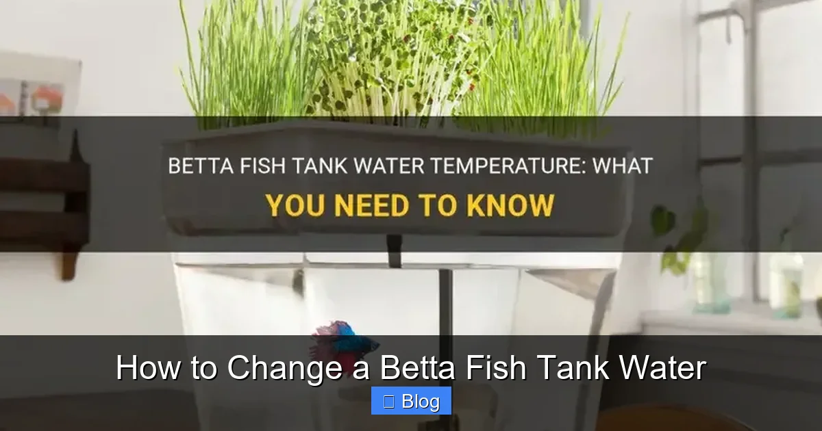 How to Change a Betta Fish Tank Water