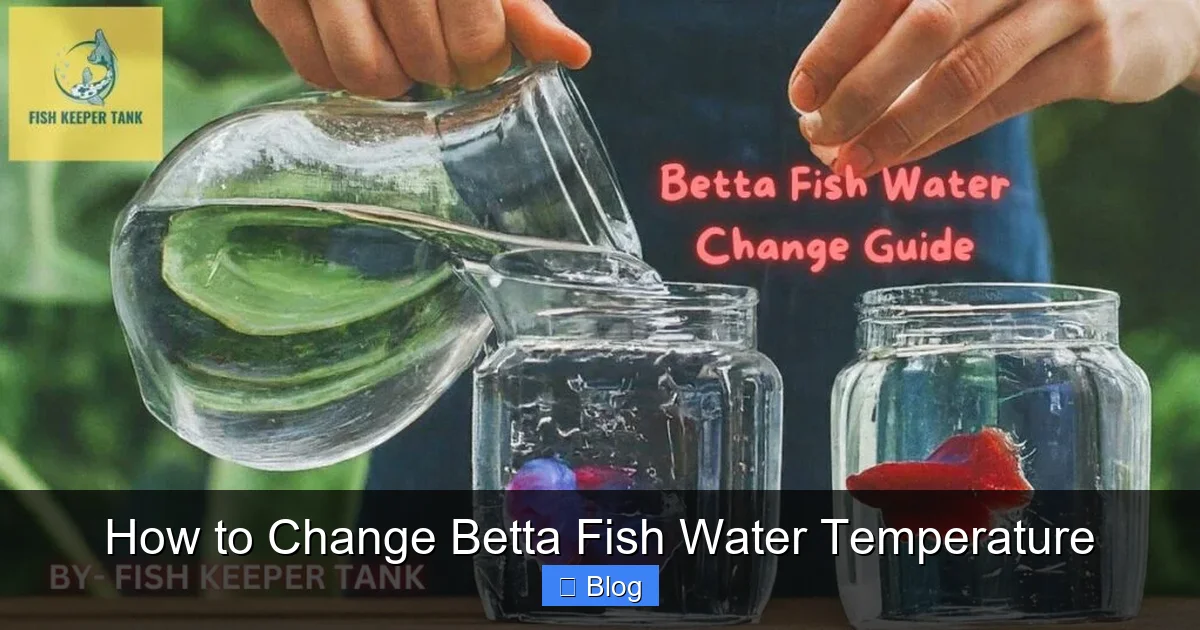 How to Change Betta Fish Water Temperature