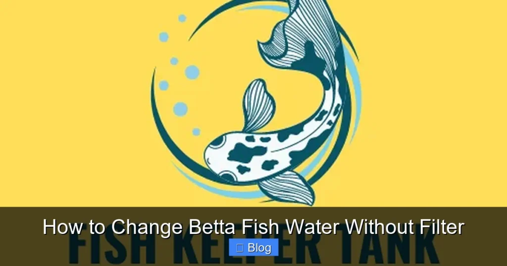 How to Change Betta Fish Water Without Filter