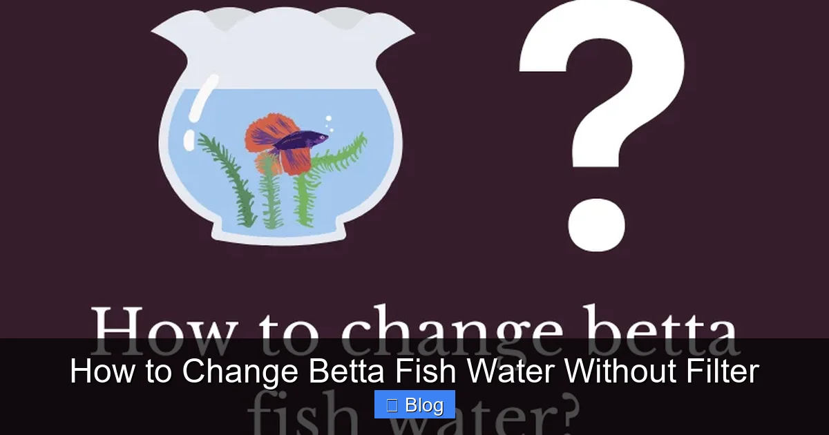 How to Change Betta Fish Water Without Filter