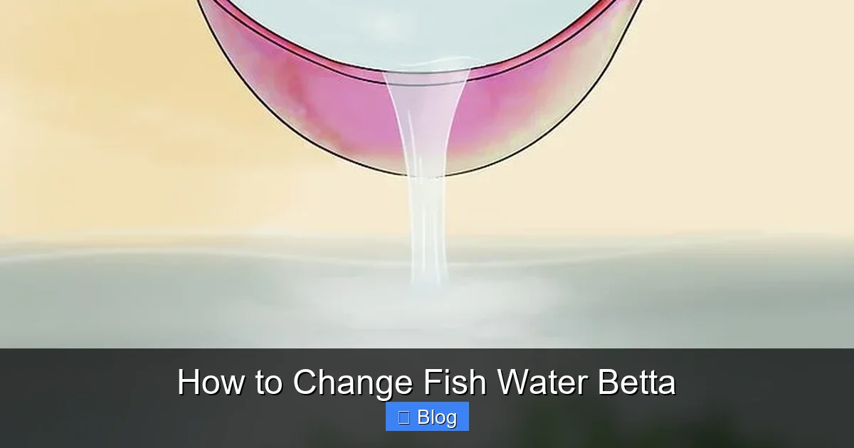 How to Change Fish Water Betta