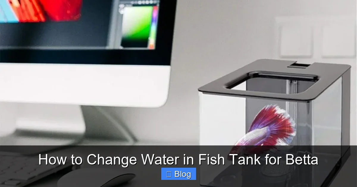How to Change Water in Fish Tank for Betta