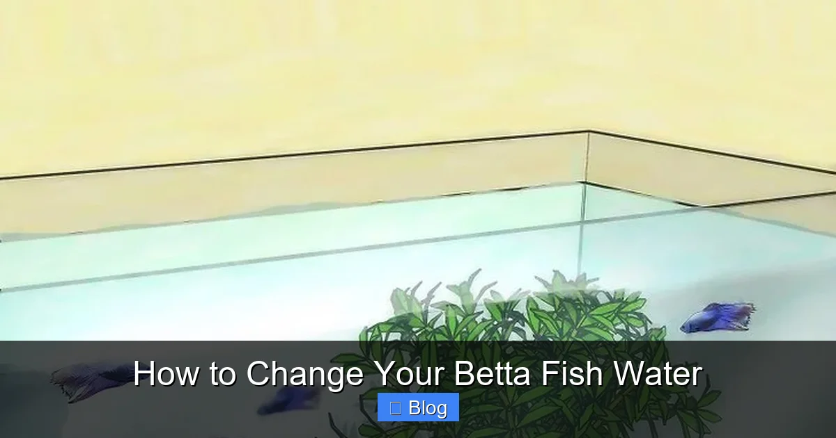 How to Change Your Betta Fish Water