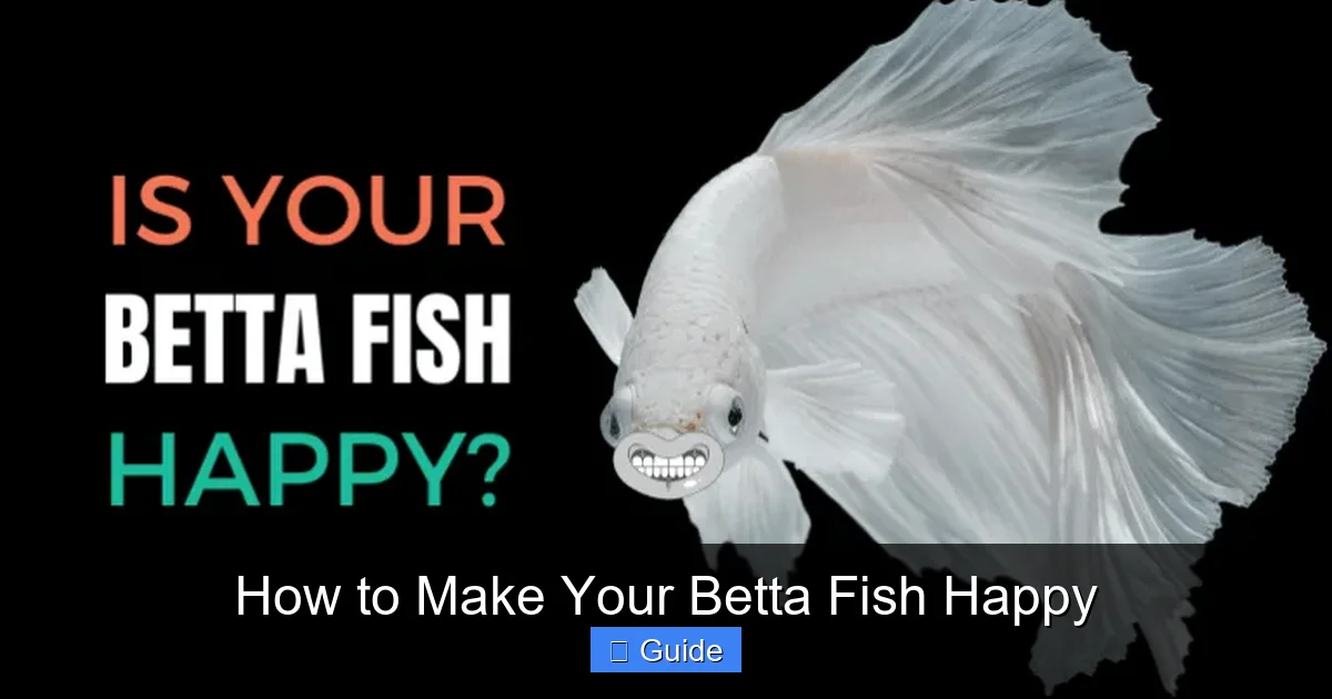 How to Make Your Betta Fish Happy