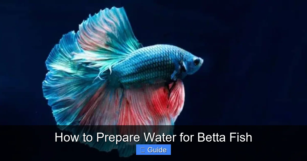 How to Prepare Water for Betta Fish