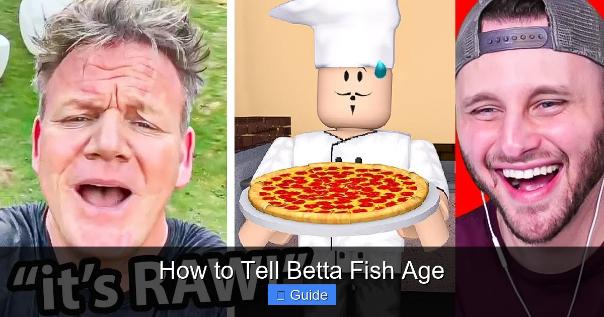 How to Tell Betta Fish Age