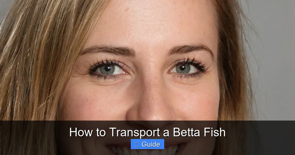 How to Transport a Betta Fish