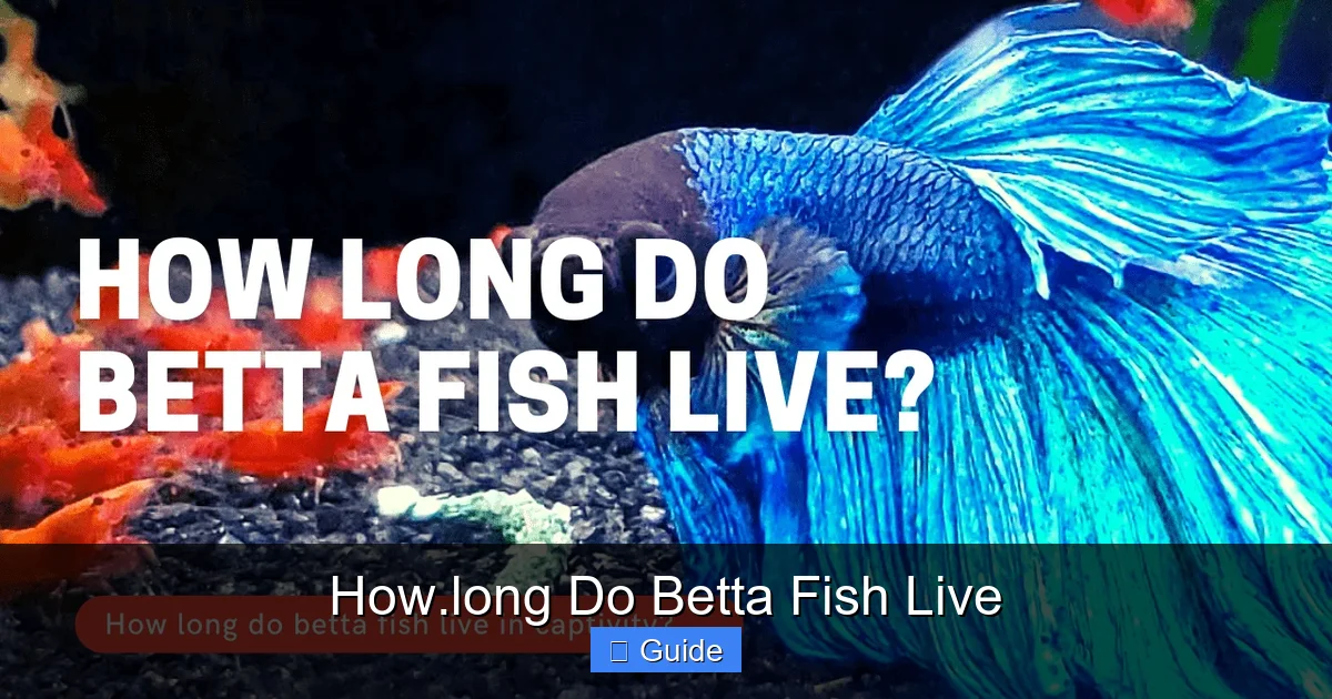 How.long Do Betta Fish Live