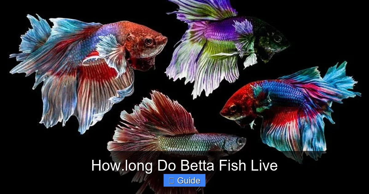 How.long Do Betta Fish Live