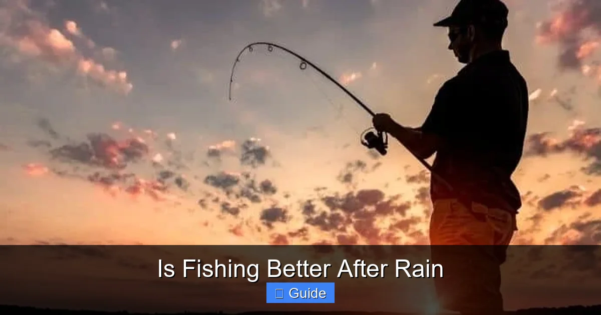 Is Fishing Better After Rain
