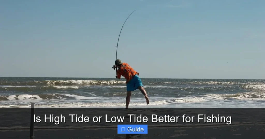 Is High Tide or Low Tide Better for Fishing