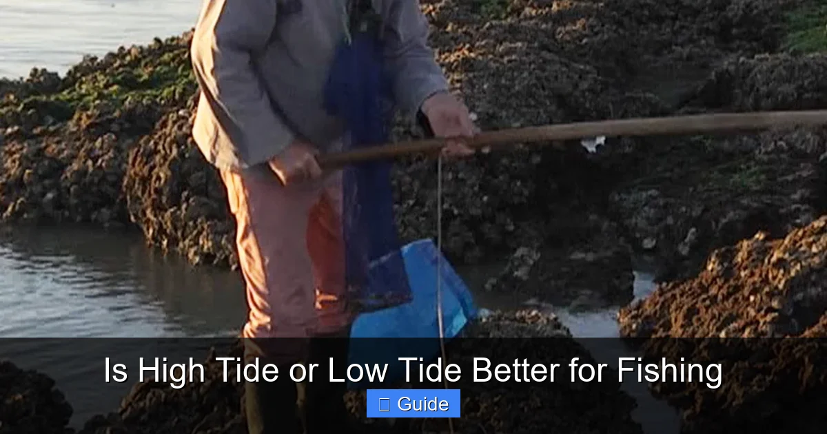 Is High Tide or Low Tide Better for Fishing