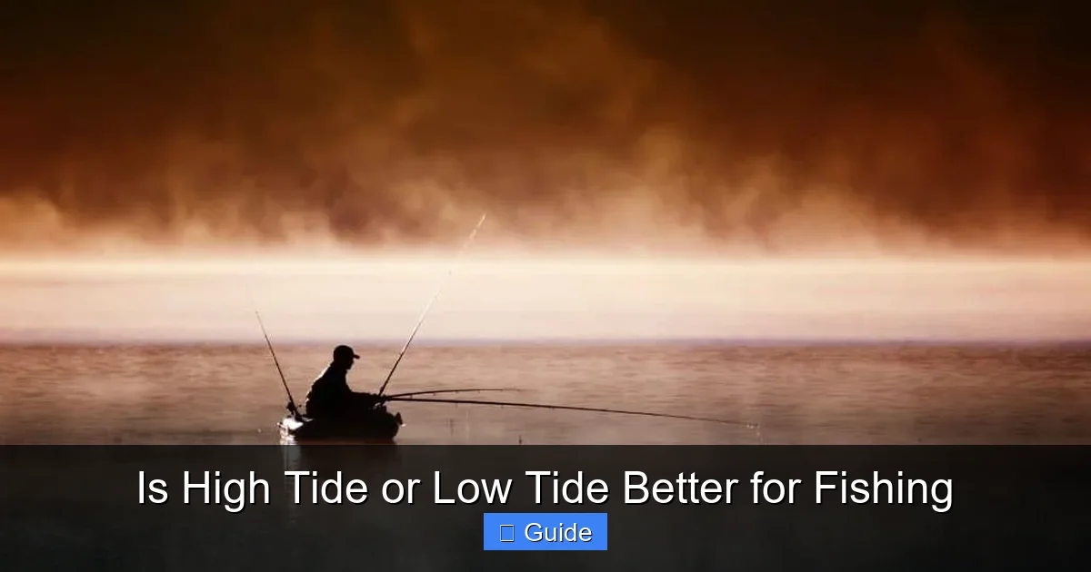 Is High Tide or Low Tide Better for Fishing