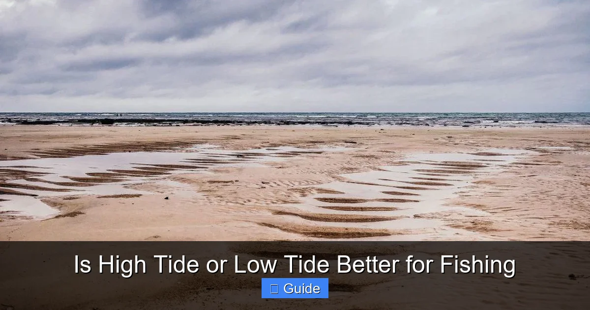 Is High Tide or Low Tide Better for Fishing