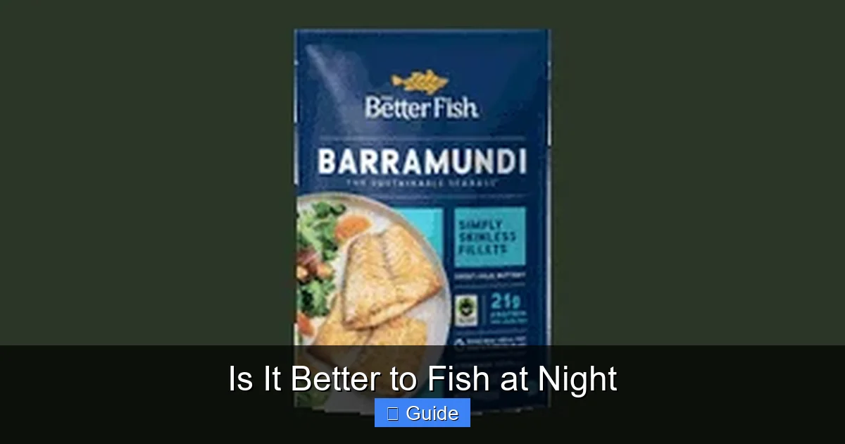 Is It Better to Fish at Night