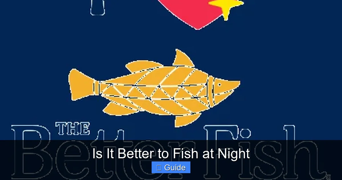 Is It Better to Fish at Night
