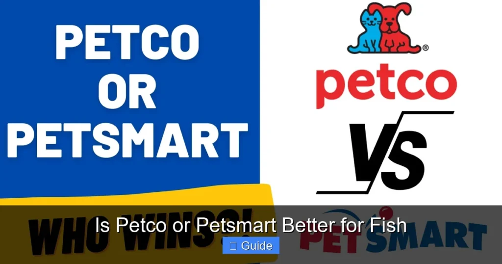 Is Petco or Petsmart Better for Fish