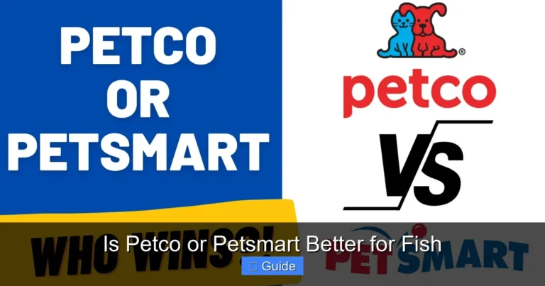 Is Petco or Petsmart Better for Fish