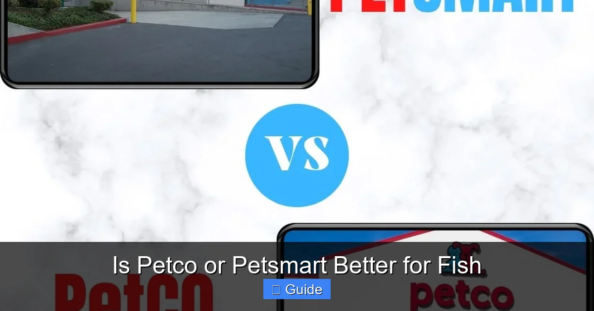 Is Petco or Petsmart Better for Fish