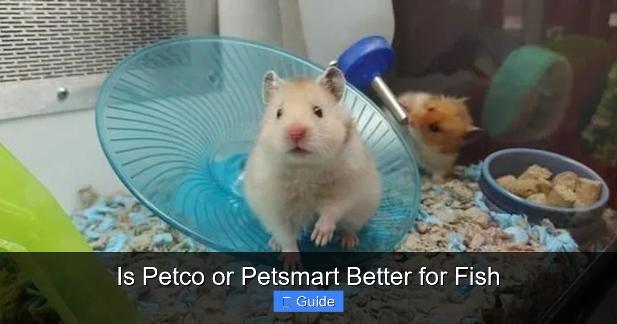Is Petco or Petsmart Better for Fish