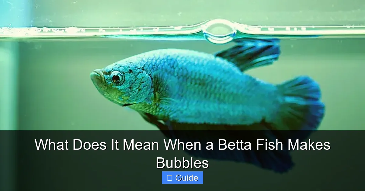 What Does It Mean When a Betta Fish Makes Bubbles