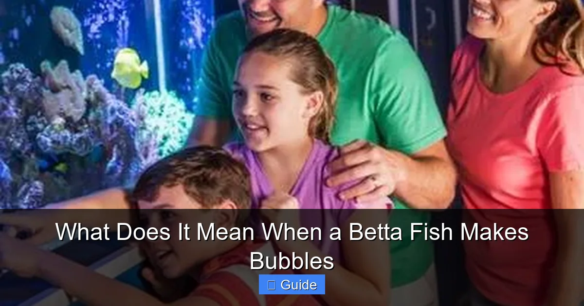 What Does It Mean When a Betta Fish Makes Bubbles