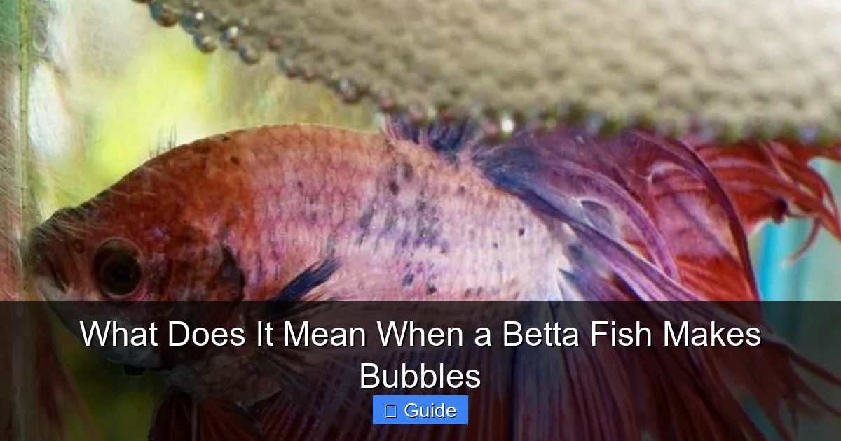 What Does It Mean When a Betta Fish Makes Bubbles