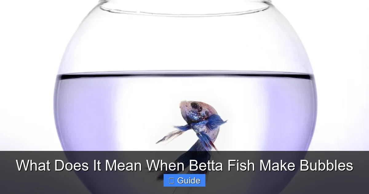 What Does It Mean When Betta Fish Make Bubbles
