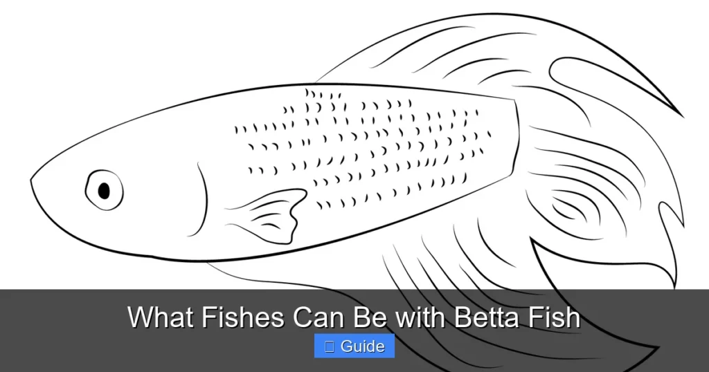 What Fishes Can Be with Betta Fish