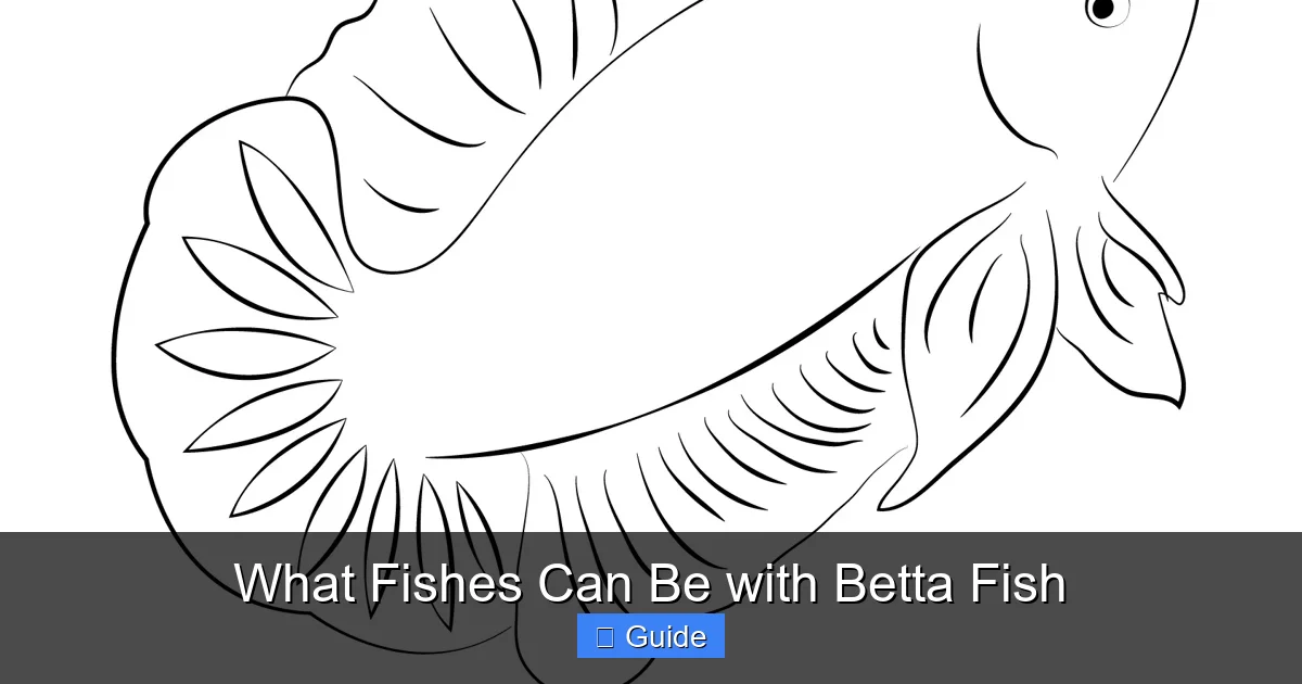 What Fishes Can Be with Betta Fish
