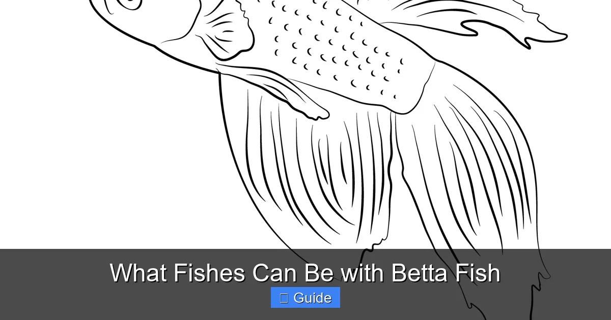 What Fishes Can Be with Betta Fish