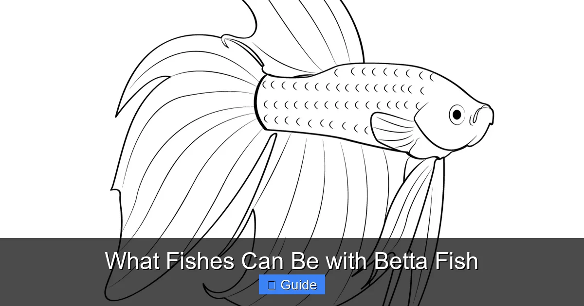What Fishes Can Be with Betta Fish