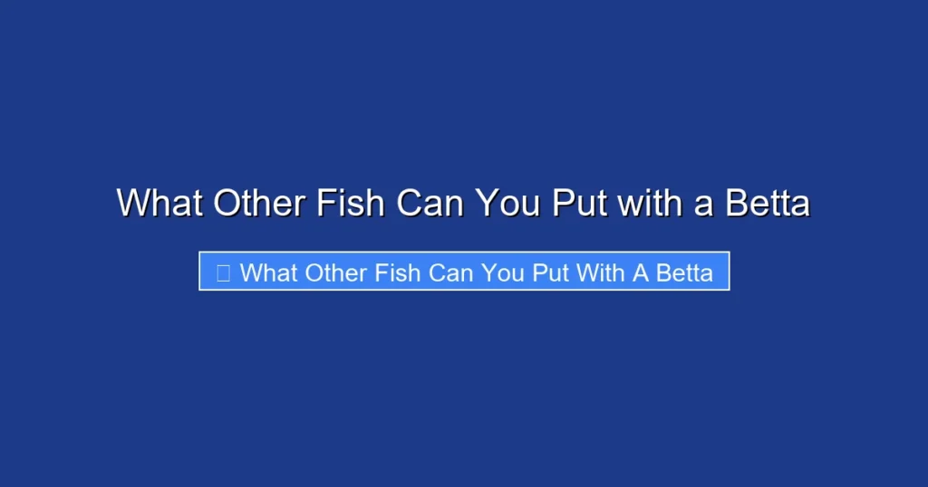 What Other Fish Can You Put with a Betta