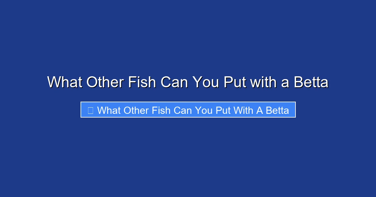 What Other Fish Can You Put with a Betta