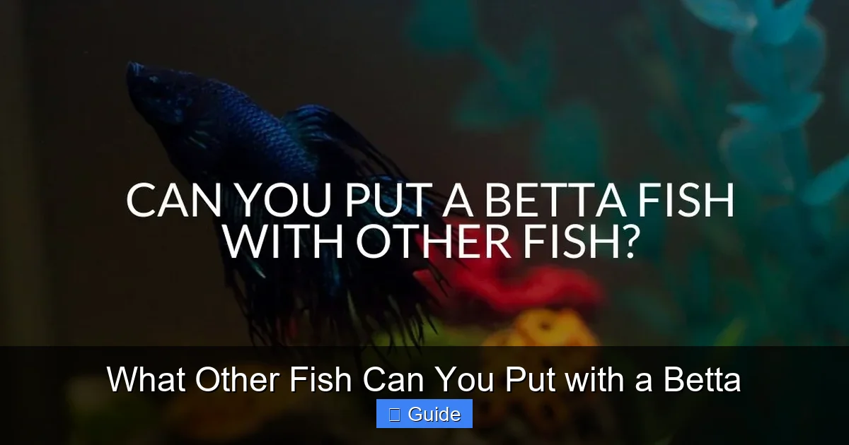 What Other Fish Can You Put with a Betta
