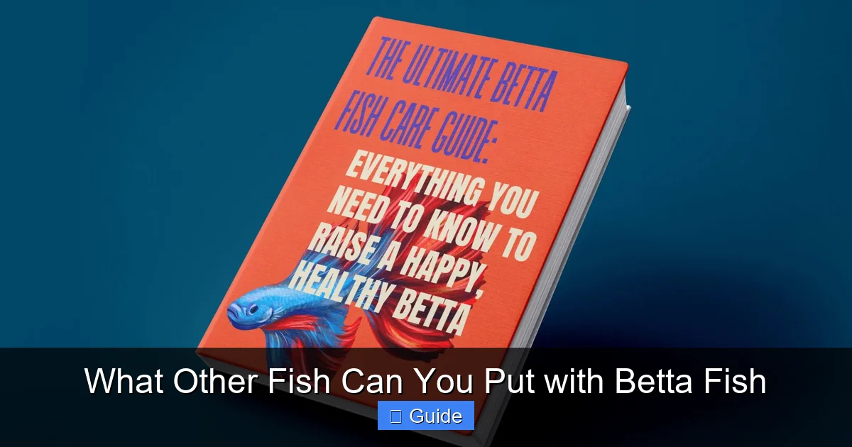 What Other Fish Can You Put with Betta Fish