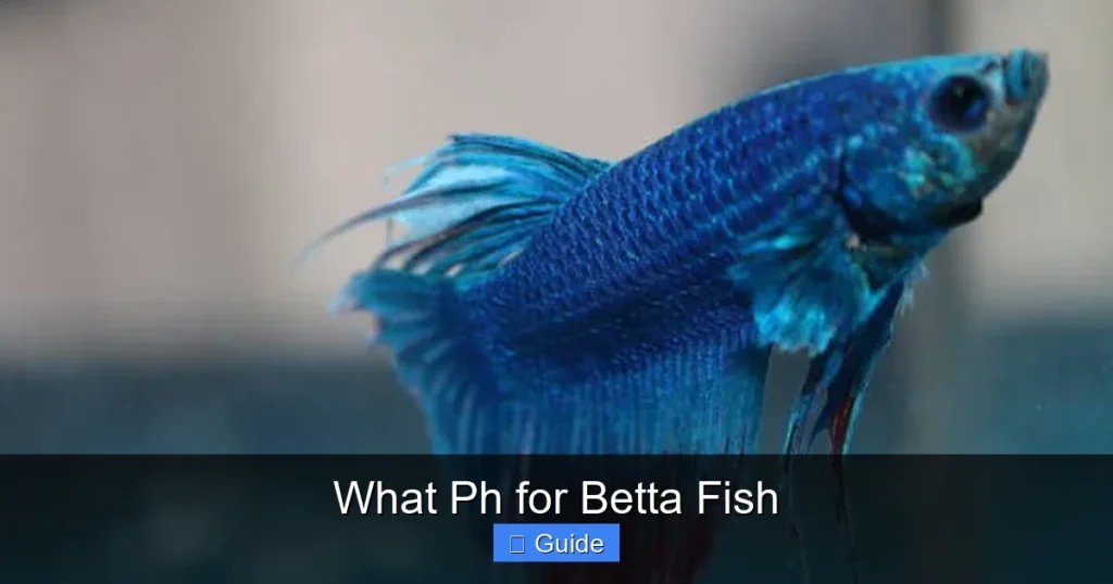 What Ph for Betta Fish