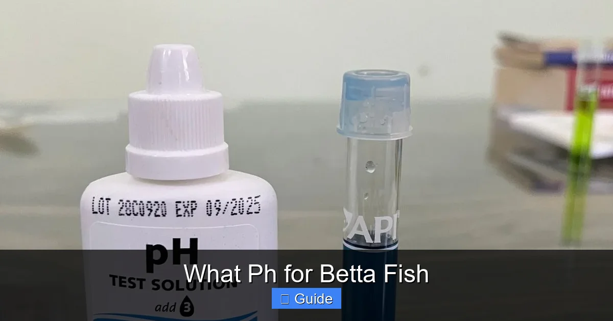 What Ph for Betta Fish