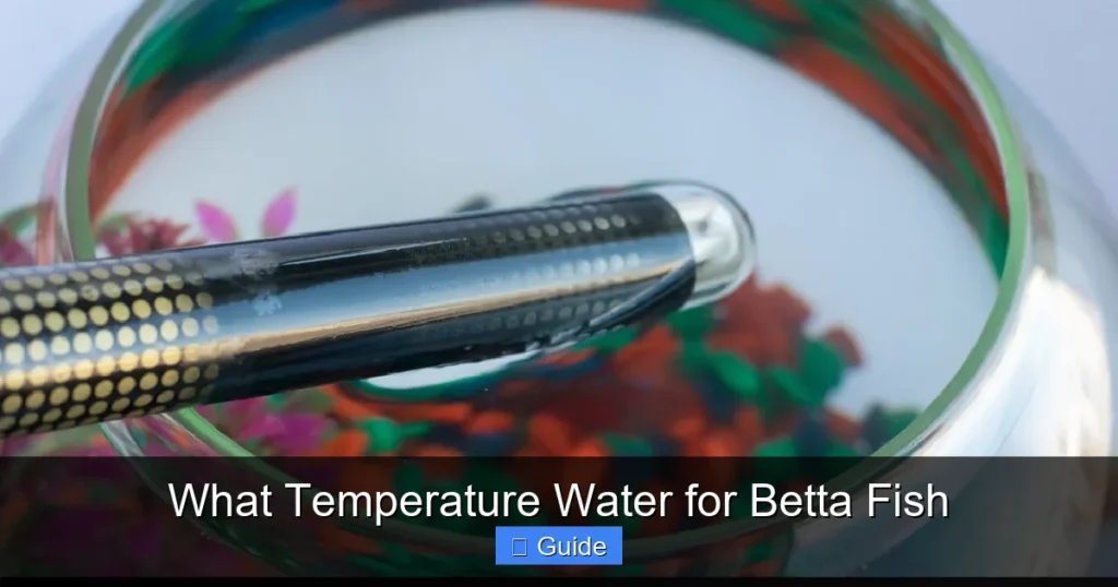 What Temperature Water for Betta Fish