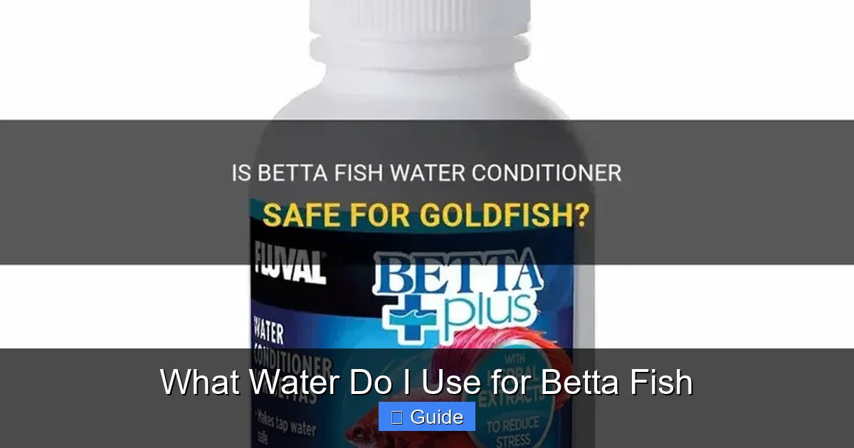What Water Do I Use for Betta Fish