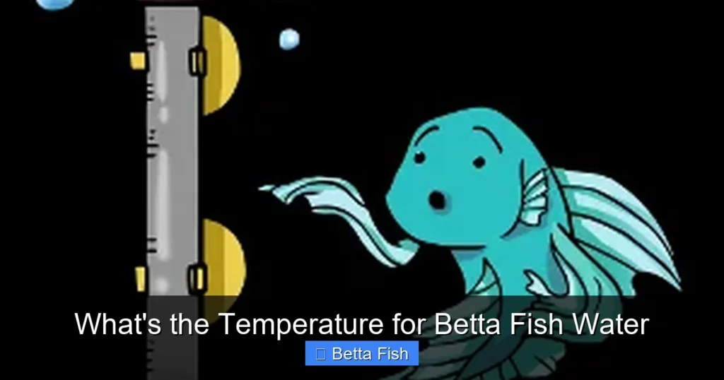 What's the Temperature for Betta Fish Water
