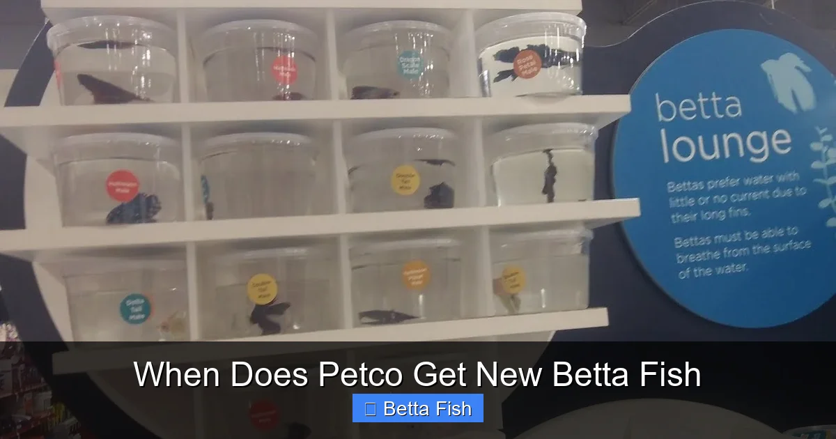 When Does Petco Get New Betta Fish