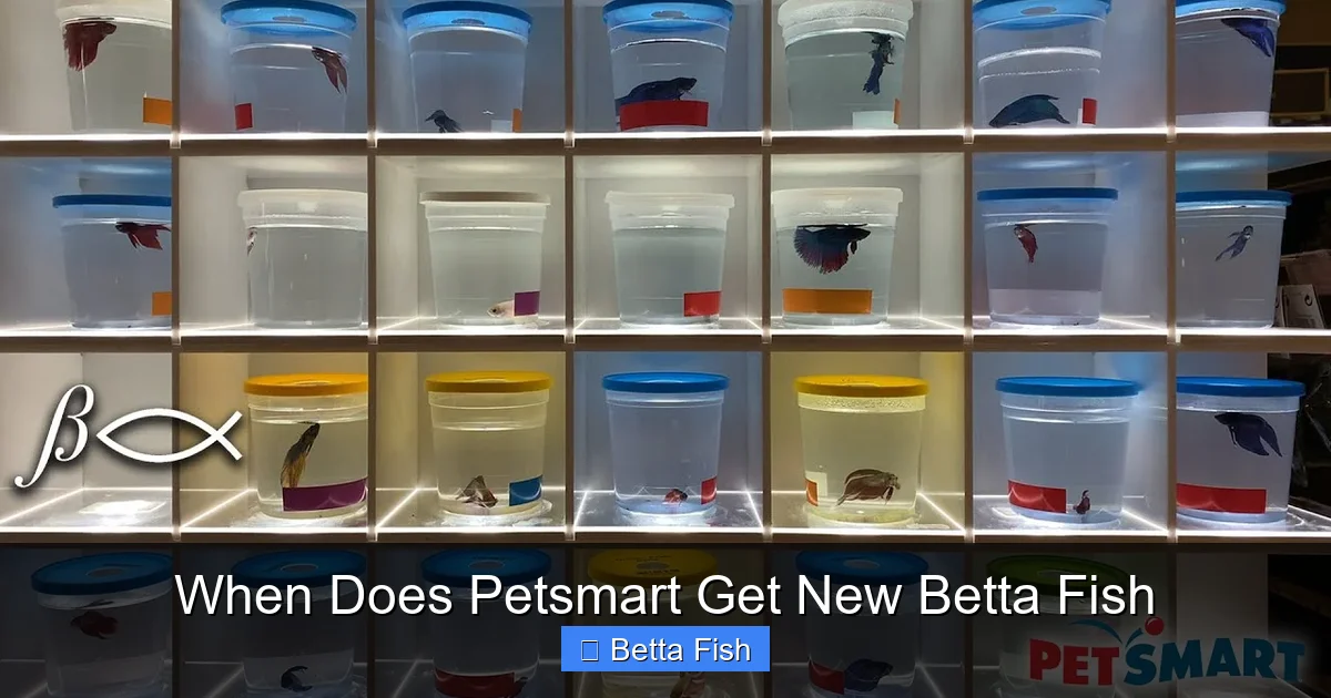 When Does Petsmart Get New Betta Fish