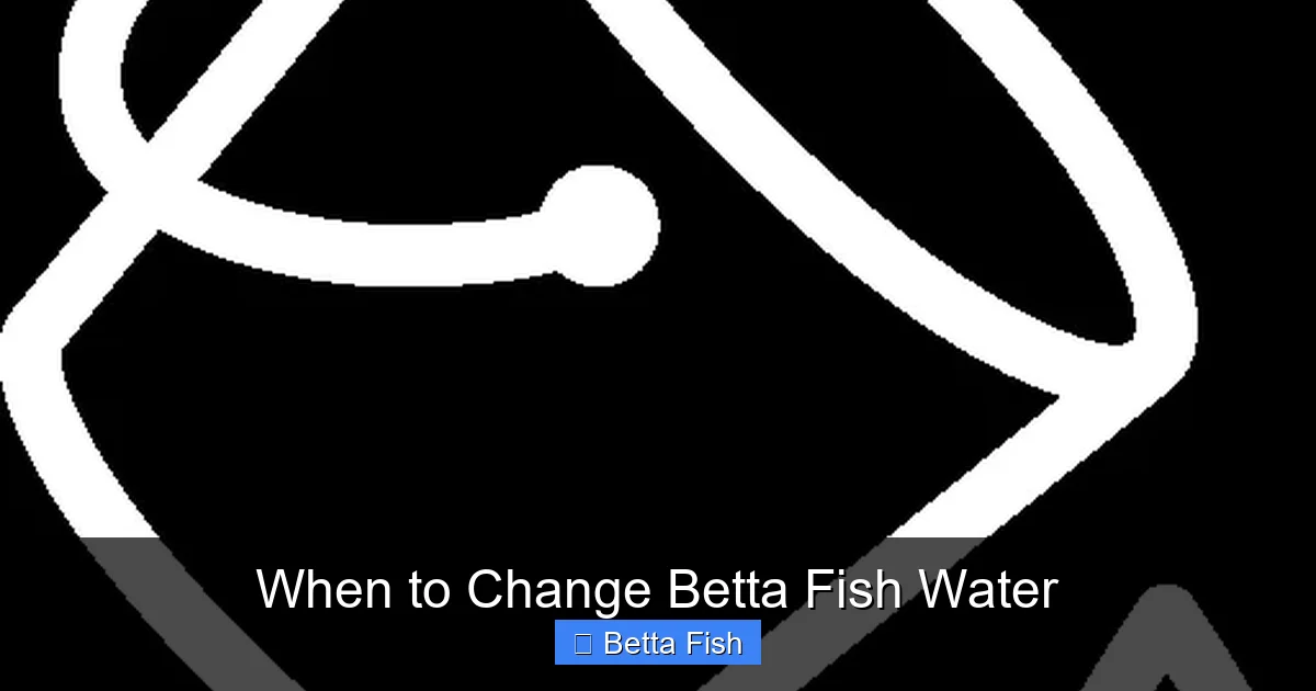 When to Change Betta Fish Water