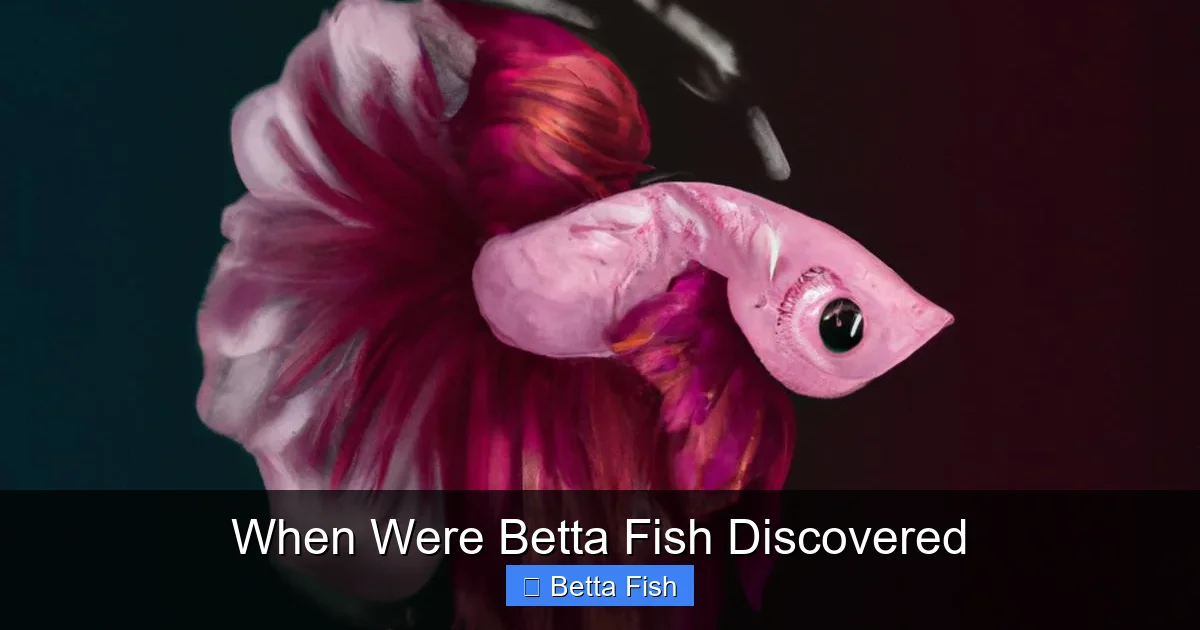 When Were Betta Fish Discovered