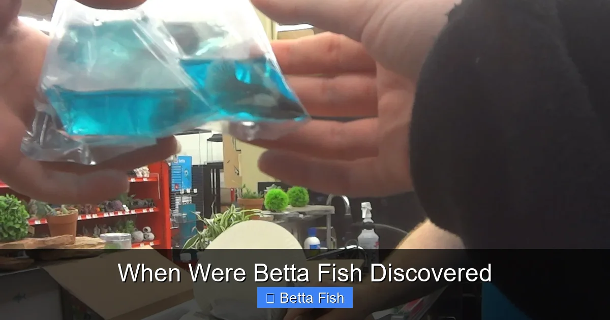 When Were Betta Fish Discovered